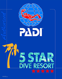 5 stars Padi Resort